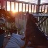 diane_shoup